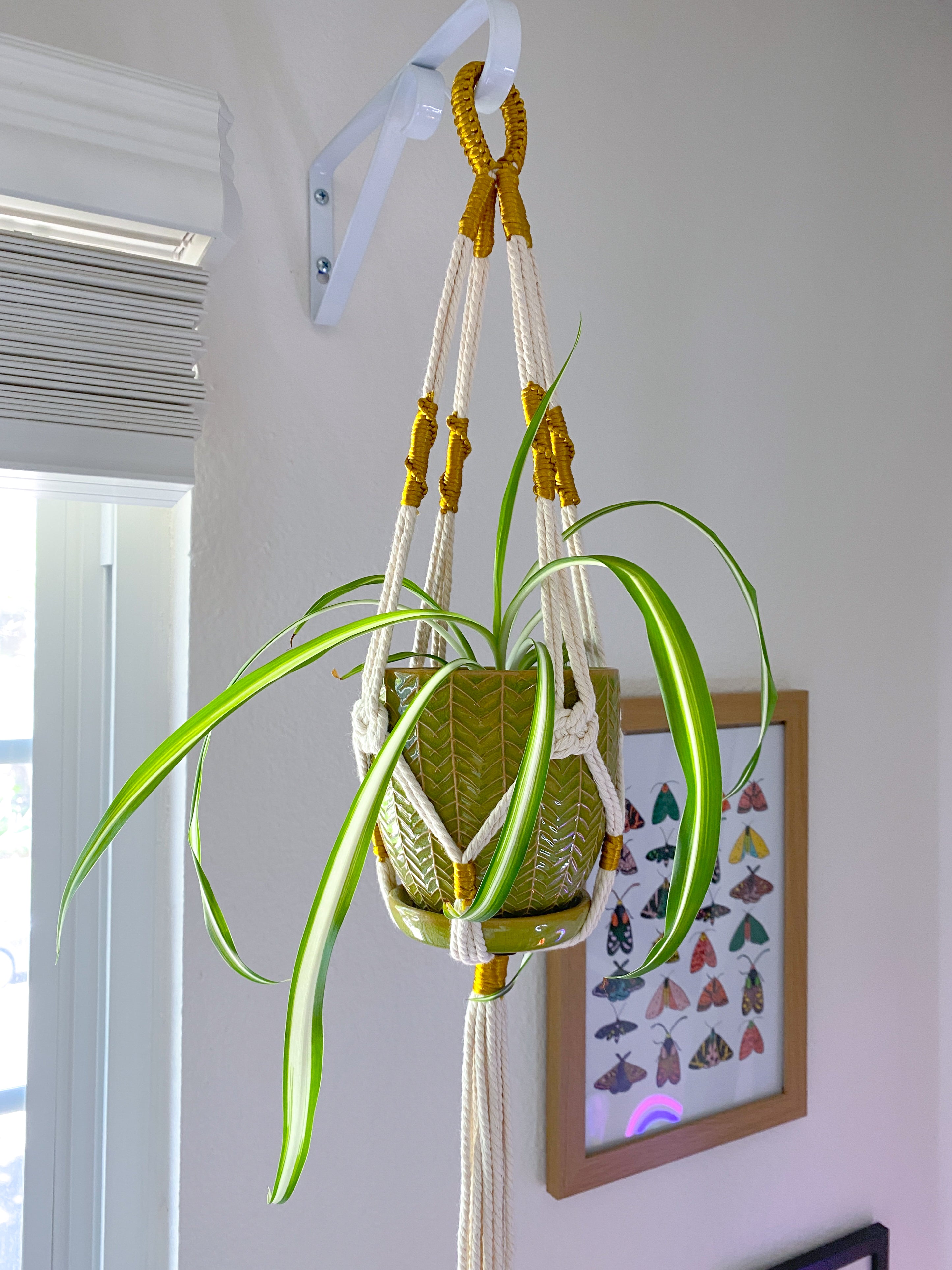 Gold Plant Hanger - Two Styles Available